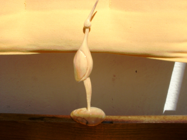 P3210005.JPG